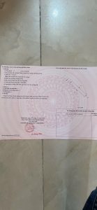 Img 1766729938557 1766732040693