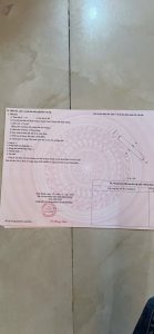 Img 1766729938627 1766732041552