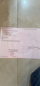 Img 1766729938651 1766732041751