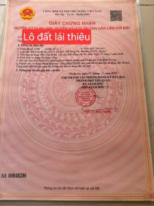 Img 1772159259301 1772159381734