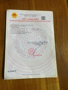 Img 1772437705434 1772847335039