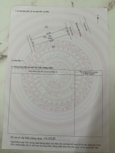 Img 1772532850245 1772533682030