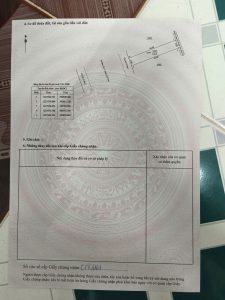 Img 1779504622915 1779588363982