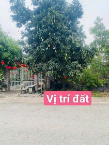 Img 20260522 145847