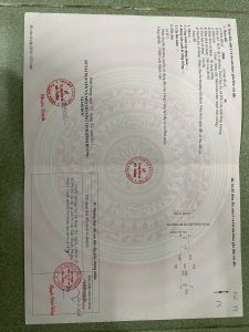 Img 20260602 095813